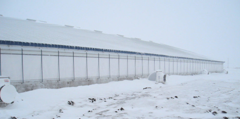 Winter Inspection Checklist for Swine Facilities Winter Inspection Checklist for Swine Facilities